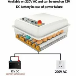 MERKMAK Incubateur Oeufs Couveuse A Oeuf Automatique Pour Volaille, Caille, Oie Canard, Pigeon, Reptile - 16 Oeufs -Poulailler et élevage de la basse-cour Soldes Magasin 33768962 4