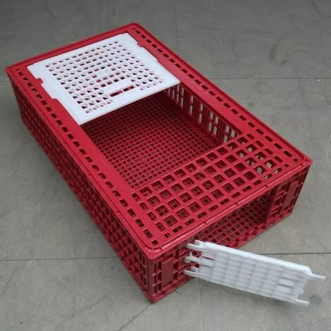 POULAILLER DIRECT Cage De Transport Poules Et Volailles 96x57x27cm 2 Portes Rouge Et Blanche - Rouge 2 POULAILLER DIRECT Cage De Transport Poules Et Volailles 96x57x27cm 2 Portes Rouge Et Blanche - Rouge – Image 2