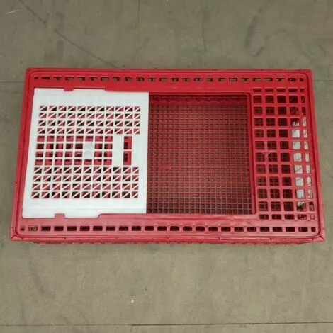 POULAILLER DIRECT Cage De Transport Poules Et Volailles 96x57x27cm 2 Portes Rouge Et Blanche - Rouge 4 POULAILLER DIRECT Cage De Transport Poules Et Volailles 96x57x27cm 2 Portes Rouge Et Blanche - Rouge – Image 4