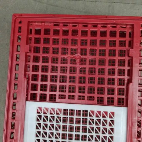 POULAILLER DIRECT Cage De Transport Poules Et Volailles 96x57x27cm 2 Portes Rouge Et Blanche - Rouge 5 POULAILLER DIRECT Cage De Transport Poules Et Volailles 96x57x27cm 2 Portes Rouge Et Blanche - Rouge – Image 5