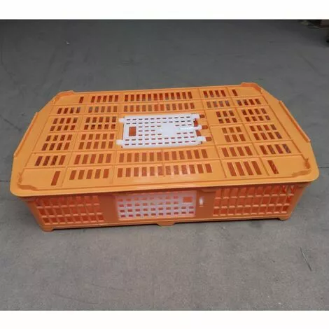 POULAILLER DIRECT Cage De Transport Petite Volaille 67x45x15cm 2 Portes Orange Et Blanche - Orange 1 POULAILLER DIRECT Cage De Transport Petite Volaille 67x45x15cm 2 Portes Orange Et Blanche - Orange