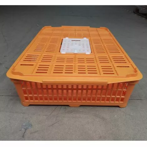 POULAILLER DIRECT Cage De Transport Petite Volaille 67x45x15cm 2 Portes Orange Et Blanche - Orange 2 POULAILLER DIRECT Cage De Transport Petite Volaille 67x45x15cm 2 Portes Orange Et Blanche - Orange – Image 2