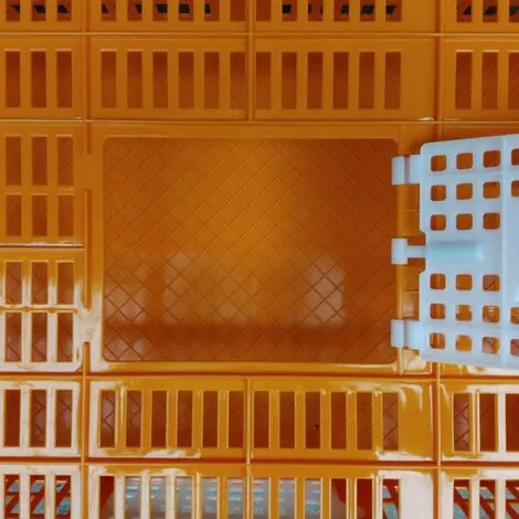 POULAILLER DIRECT Cage De Transport Petite Volaille 67x45x15cm 2 Portes Orange Et Blanche - Orange 4 POULAILLER DIRECT Cage De Transport Petite Volaille 67x45x15cm 2 Portes Orange Et Blanche - Orange – Image 4