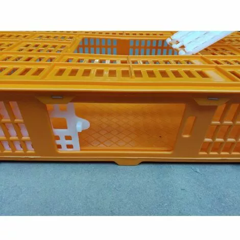 POULAILLER DIRECT Cage De Transport Petite Volaille 67x45x15cm 2 Portes Orange Et Blanche - Orange 5 POULAILLER DIRECT Cage De Transport Petite Volaille 67x45x15cm 2 Portes Orange Et Blanche - Orange – Image 5