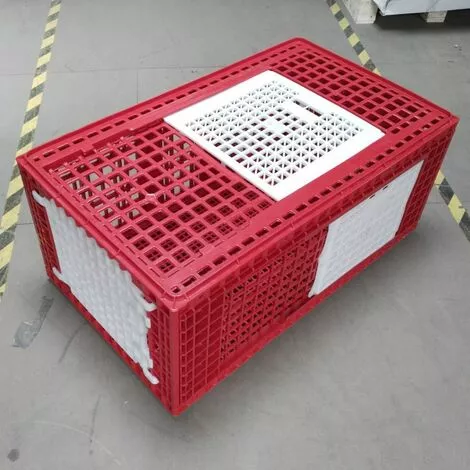 POULAILLER DIRECT Cage De Transport Grande Volaille 96x57x42cm 3 Portes Rouge Et Blanche 1 POULAILLER DIRECT Cage De Transport Grande Volaille 96x57x42cm 3 Portes Rouge Et Blanche