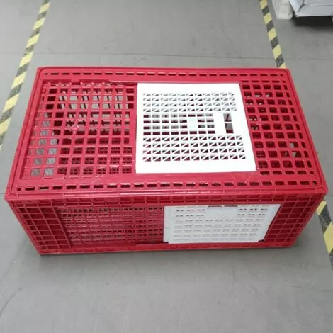 POULAILLER DIRECT Cage De Transport Grande Volaille 96x57x42cm 3 Portes Rouge Et Blanche 2 POULAILLER DIRECT Cage De Transport Grande Volaille 96x57x42cm 3 Portes Rouge Et Blanche – Image 2