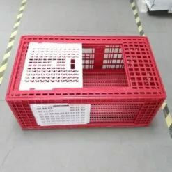 POULAILLER DIRECT Cage De Transport Grande Volaille 96x57x42cm 3 Portes Rouge Et Blanche 7 POULAILLER DIRECT Cage De Transport Grande Volaille 96x57x42cm 3 Portes Rouge Et Blanche -Poulailler et élevage de la basse-cour Soldes Magasin 35604650 3
