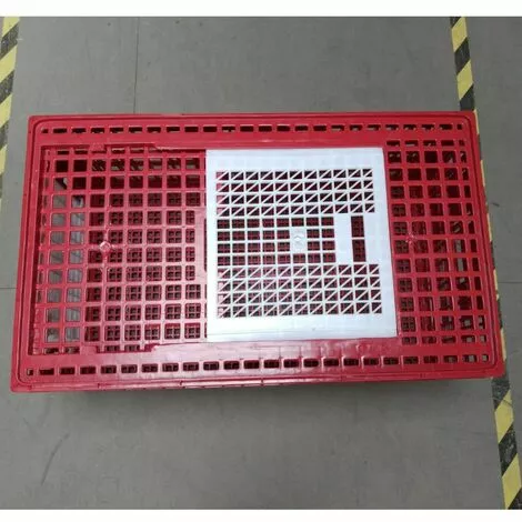 POULAILLER DIRECT Cage De Transport Grande Volaille 96x57x42cm 3 Portes Rouge Et Blanche 4 POULAILLER DIRECT Cage De Transport Grande Volaille 96x57x42cm 3 Portes Rouge Et Blanche – Image 4