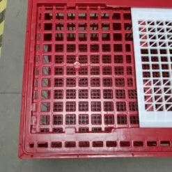 POULAILLER DIRECT Cage De Transport Grande Volaille 96x57x42cm 3 Portes Rouge Et Blanche 9 POULAILLER DIRECT Cage De Transport Grande Volaille 96x57x42cm 3 Portes Rouge Et Blanche -Poulailler et élevage de la basse-cour Soldes Magasin 35604650 5