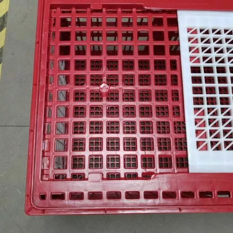 POULAILLER DIRECT Cage De Transport Grande Volaille 96x57x42cm 3 Portes Rouge Et Blanche 5 POULAILLER DIRECT Cage De Transport Grande Volaille 96x57x42cm 3 Portes Rouge Et Blanche – Image 5