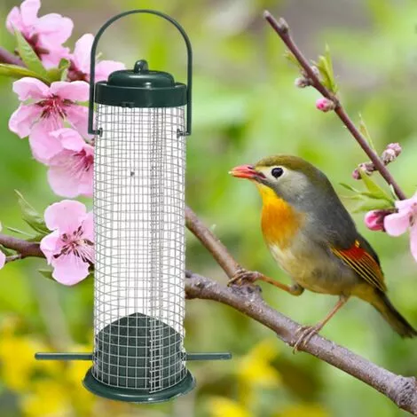 SUNFLOWER Mangeoire Oiseaux Exterieur En Métal Inoxydable I Distributeur Graines Oiseaux I Mangeoire à Oiseaux Distributeur Suspendu Imperméable (23,5cm, Vert) 5 SUNFLOWER Mangeoire Oiseaux Exterieur En Métal Inoxydable I Distributeur Graines Oiseaux I Mangeoire à Oiseaux Distributeur Suspendu Imperméable (23,5cm, Vert) – Image 5