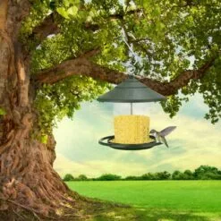 SUNFLOWER Mangeoires Pour Oiseaux Sauvages, Mangeoire à Oiseaux Suspendue, Mangeoire à Oiseaux Suspendue En Plastique Pour Balcon Extérieur Transparent (Vert) 7 SUNFLOWER Mangeoires Pour Oiseaux Sauvages, Mangeoire à Oiseaux Suspendue, Mangeoire à Oiseaux Suspendue En Plastique Pour Balcon Extérieur Transparent (Vert) -Poulailler et élevage de la basse-cour Soldes Magasin 36773405 3