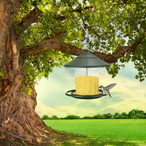 SUNFLOWER Mangeoires Pour Oiseaux Sauvages, Mangeoire à Oiseaux Suspendue, Mangeoire à Oiseaux Suspendue En Plastique Pour Balcon Extérieur Transparent (Vert) 3 SUNFLOWER Mangeoires Pour Oiseaux Sauvages, Mangeoire à Oiseaux Suspendue, Mangeoire à Oiseaux Suspendue En Plastique Pour Balcon Extérieur Transparent (Vert) – Image 3