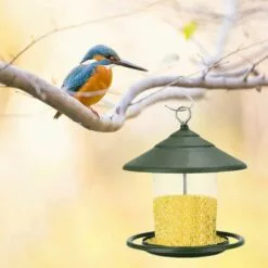 SUNFLOWER Mangeoires Pour Oiseaux Sauvages, Mangeoire à Oiseaux Suspendue, Mangeoire à Oiseaux Suspendue En Plastique Pour Balcon Extérieur Transparent (Vert) 8 SUNFLOWER Mangeoires Pour Oiseaux Sauvages, Mangeoire à Oiseaux Suspendue, Mangeoire à Oiseaux Suspendue En Plastique Pour Balcon Extérieur Transparent (Vert) -Poulailler et élevage de la basse-cour Soldes Magasin 36773405 4