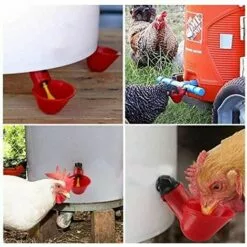 LANGRAY 15 Bols D'eau De Poulet Avec Noix, Abreuvoir De Volaille En Plastique équipement D'élevage Pour Buveur De Caille D'oiseau De Poulet -Poulailler et élevage de la basse-cour Soldes Magasin 37891846 3