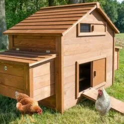 BB-LOISIR Poulailler En Bois Pour Jardin Extérieure Cage Canard équipé 2 Nichoirs 185 X 84 X 112 Cm Modèle 154 Ferme De Terrain