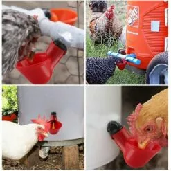 Abreuvoir Poules, 10pcs Abreuvoir Poule à La Volaille Bols Distributeur De Boisson Rouge Troupeau Canard Oiseau Alimentation Eau Pour Pigeons GrooFoo -Poulailler et élevage de la basse-cour Soldes Magasin 39665051 3