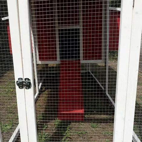 CHEMIN DES POULAILLERS Poulailler Deluxe Toit Shingle Vert 10 À 12 Poules - Vert 3 CHEMIN DES POULAILLERS Poulailler Deluxe Toit Shingle Vert 10 À 12 Poules - Vert – Image 3