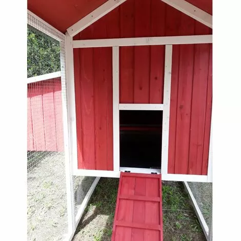 CHEMIN DES POULAILLERS Poulailler Deluxe Toit Shingle Vert 10 À 12 Poules - Vert 4 CHEMIN DES POULAILLERS Poulailler Deluxe Toit Shingle Vert 10 À 12 Poules - Vert – Image 4