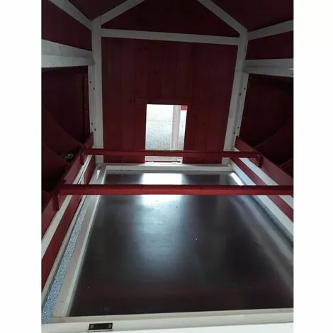 CHEMIN DES POULAILLERS Poulailler Deluxe Toit Shingle Vert 10 À 12 Poules - Vert 5 CHEMIN DES POULAILLERS Poulailler Deluxe Toit Shingle Vert 10 À 12 Poules - Vert – Image 5