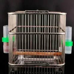 BETTERLIFE BETTE Abreuvoir À Oiseaux Automatique Mangeoires Piège à Eau Automatique Pour Oiseaux Fournitures Pour Cages à Oiseaux Accessoires Pour Cages Nourriture Fournitures Pour Cage à Oiseaux 9 BETTERLIFE BETTE Abreuvoir À Oiseaux Automatique Mangeoires Piège à Eau Automatique Pour Oiseaux Fournitures Pour Cages à Oiseaux Accessoires Pour Cages Nourriture Fournitures Pour Cage à Oiseaux -Poulailler et élevage de la basse-cour Soldes Magasin 41557362 5