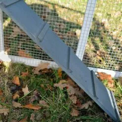 BB-LOISIRCD Poulailler Exterieur En Bois Avec Toit Pliant 175x66x101 Cm Modele- Dottie 151 Taille L -Poulailler et élevage de la basse-cour Soldes Magasin 41621954 3