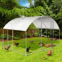 IDMARKET Enclos Poulailler Dôme 7,5 M² Parc Grillagé 3x2,5 M Avec Porte Latérale - Naturel -Poulailler et élevage de la basse-cour Soldes Magasin 41828827 5