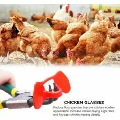 GUAZHUNIFR Lunettes De Poulet Lunettes Anti-picage Lunettes De Poulet En Plastique100 Pieces Guazhuni（rouge） -Poulailler et élevage de la basse-cour Soldes Magasin 42580261 3