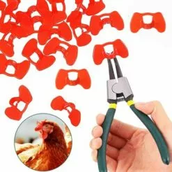 GUAZHUNIFR Lunettes De Poulet Lunettes Anti-picage Lunettes De Poulet En Plastique100 Pieces Guazhuni（rouge） -Poulailler et élevage de la basse-cour Soldes Magasin 42580261 5