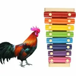 Accessoires De Poulet Jouet Xylophone 1 Pièces Fontainebleau （Multicolore） -Poulailler et élevage de la basse-cour Soldes Magasin 42717525 3
