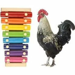 Accessoires De Poulet Jouet Xylophone 1 Pièces Fontainebleau （Multicolore） -Poulailler et élevage de la basse-cour Soldes Magasin 42717525 4