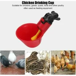 TANABATA Breuvoir De Poulet, 10 PCS Automatique Pour Volaille Distributeurs D'eau Automatique Avec Tasses D'arrosage Pour Poulailler Poulet Canard Volaille Abreuvoir Mangeoire -Poulailler et élevage de la basse-cour Soldes Magasin 44322339 5