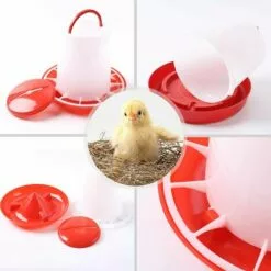 TANABATA Lot De 2 Abreuvoirs Mangeoire 3 Kg Rouge Et Blanc -Poulailler et élevage de la basse-cour Soldes Magasin 44322377 4