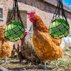 Distributeurs De Nourriture Pour Foin, Nylon Poulet Fruits Et Légumes Sac En Filet Râtelier à Foin, Lapin, Poulailler Réutilisable 57cm Fontainebleau 2Pcs Noir -Poulailler et élevage de la basse-cour Soldes Magasin 45293292 5