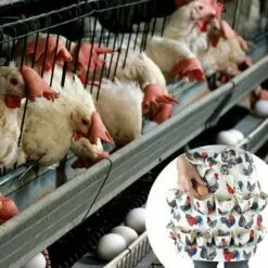 BRIDAY Tablier De Collecte D'œufs, 12 Poches Pour Poule Avec Imprimé Coq De Poule Et œufs En Toile, Support Pour Poules -Poulailler et élevage de la basse-cour Soldes Magasin 45789071 3