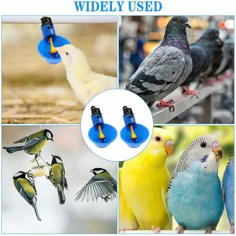 VERSAILLESFR Volaille Tasse à Boire Automatique En Plastique Distributeur D'Eau De Poulet,Abreuvoir Pour Poules Poulailler Volaille Oiseau Coupes Buveur -Versailles 4 VERSAILLESFR Volaille Tasse à Boire Automatique En Plastique Distributeur D'Eau De Poulet,Abreuvoir Pour Poules Poulailler Volaille Oiseau Coupes Buveur -Versailles – Image 4