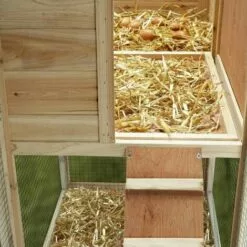 TERRE JARDIN Poulailler Bois Avec Pondoir 9 TERRE JARDIN Poulailler Bois Avec Pondoir -Poulailler et élevage de la basse-cour Soldes Magasin 4629288 5