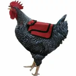 Kueatily Tablier Protection Dorsale Volaille 5 Kueatily Tablier Protection Dorsale Volaille -Poulailler et élevage de la basse-cour Soldes Magasin 46714458 3