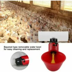 Betterlife 5 Pièces Tasses à Boire De L'eau De Volaille Mangeoire à Oiseaux Abreuvoir Automatique En Plastique Pour Le Bétail Poulet Poule Poulailler Poulailler Arc D'alimentation -Poulailler et élevage de la basse-cour Soldes Magasin 48448712 5