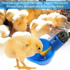 Volaille Tasse à Boire Automatique En Plastique 12 Pcs Distributeur D'Eau De Poulet,Betterlife Abreuvoir Pour Poules Poulailler Volaille Oiseau Coupes Buveur De Poulet Pour Boire De L'eau(Bleu) 7 Volaille Tasse à Boire Automatique En Plastique 12 Pcs Distributeur D'Eau De Poulet,Betterlife Abreuvoir Pour Poules Poulailler Volaille Oiseau Coupes Buveur De Poulet Pour Boire De L'eau(Bleu) -Poulailler et élevage de la basse-cour Soldes Magasin 48448716 3