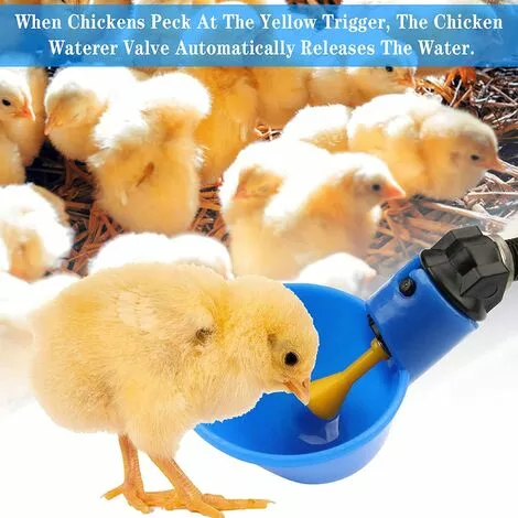 Volaille Tasse à Boire Automatique En Plastique 12 Pcs Distributeur D'Eau De Poulet,Betterlife Abreuvoir Pour Poules Poulailler Volaille Oiseau Coupes Buveur De Poulet Pour Boire De L'eau(Bleu) 3 Volaille Tasse à Boire Automatique En Plastique 12 Pcs Distributeur D'Eau De Poulet,Betterlife Abreuvoir Pour Poules Poulailler Volaille Oiseau Coupes Buveur De Poulet Pour Boire De L'eau(Bleu) – Image 3