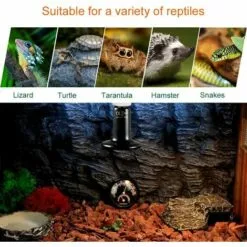Betterlife E27 100W Émetteur Radiateur Animaux Ampoule Infrarouge Chauffage En Céramique,Lampe De Reptile Pour Amphibiens, Serpent, Oiseaux,Tortue, Chat, Chien（1 Pcs） -Poulailler et élevage de la basse-cour Soldes Magasin 48448732 5