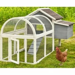 BB-LOISIR Poulailler En Bois Pour Jardin Extérieure Cage Canard Avec Nichoir Cm Modèle: 160 Grand Bonheur 189x100x110 Cm 7 BB-LOISIR Poulailler En Bois Pour Jardin Extérieure Cage Canard Avec Nichoir Cm Modèle: 160 Grand Bonheur 189x100x110 Cm -Poulailler et élevage de la basse-cour Soldes Magasin 50601877 3