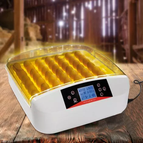 IDMARKET Couveuse PRO Automatique 56 Oeufs éclairés Incubateur Autonome Avec LED Mire Oeufs 1 IDMARKET Couveuse PRO Automatique 56 Oeufs éclairés Incubateur Autonome Avec LED Mire Oeufs