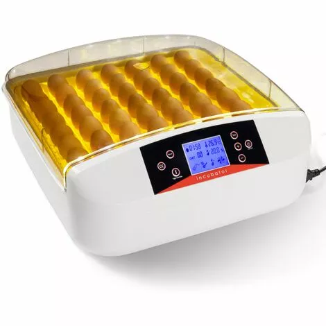 IDMARKET Couveuse PRO Automatique 56 Oeufs éclairés Incubateur Autonome Avec LED Mire Oeufs 2 IDMARKET Couveuse PRO Automatique 56 Oeufs éclairés Incubateur Autonome Avec LED Mire Oeufs – Image 2
