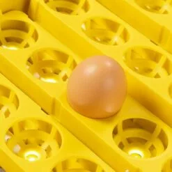 IDMARKET Couveuse PRO Automatique 56 Oeufs éclairés Incubateur Autonome Avec LED Mire Oeufs 9 IDMARKET Couveuse PRO Automatique 56 Oeufs éclairés Incubateur Autonome Avec LED Mire Oeufs -Poulailler et élevage de la basse-cour Soldes Magasin 50943099 5