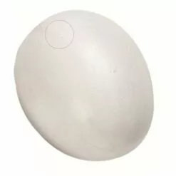 Un Faux œuf De Poule En Plastique Pour Volaille - Flamingo Pet Products - Blanc