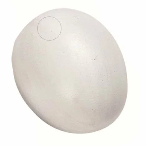 Un Faux œuf De Poule En Plastique Pour Volaille - Flamingo Pet Products - Blanc 1 Un Faux œuf De Poule En Plastique Pour Volaille - Flamingo Pet Products - Blanc