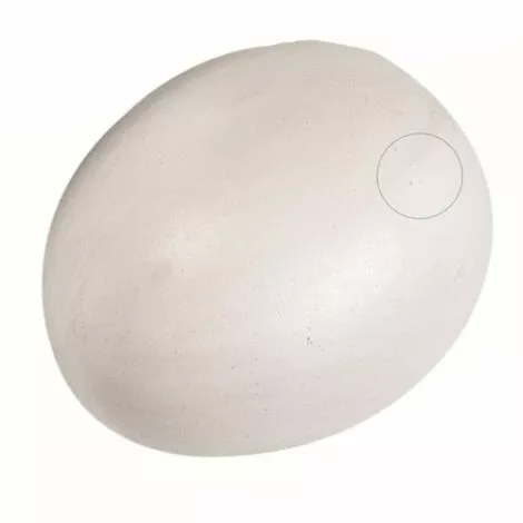 Un Faux œuf De Poule En Plastique Pour Volaille - Flamingo Pet Products - Blanc 2 Un Faux œuf De Poule En Plastique Pour Volaille - Flamingo Pet Products - Blanc – Image 2