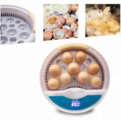 SUPERSELLER Couveuse Et Incubateur Pour Volaille Incubateur D'œufs Numérique Contrôle Automatique De La Température Lumière LED Pour Observer La Croissance 9 œufs Éclosoir Automatique De Volaille Pour Poulets Canards Pigeon Caille (220 V) - Prise UE -Poulailler et élevage de la basse-cour Soldes Magasin 53308250 4